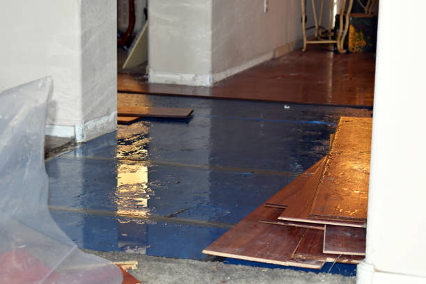 Professional Basement Flood Cleanup technician working in Trafalgar, IN